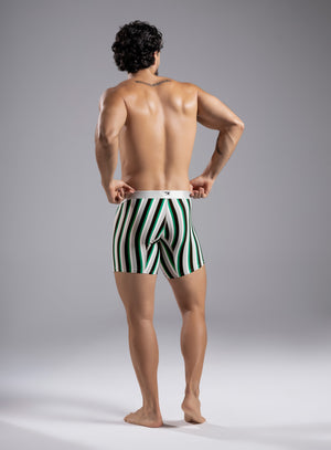 Boxer microfibra color gris para hombre, marca TARRAO, referencia 61341a, vista trasera. Compra al por mayor en int.babalu.com.co en USD.