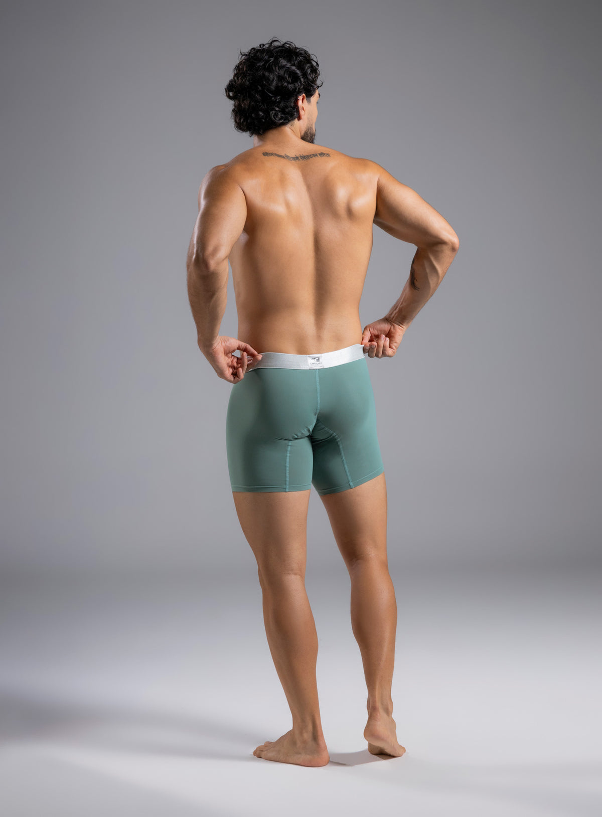 Boxer largo color verde para hombre, marca TARRAO, referencia 78441-yaiba, vista trasera. Compra al por mayor en int.babalu.com.co en USD.